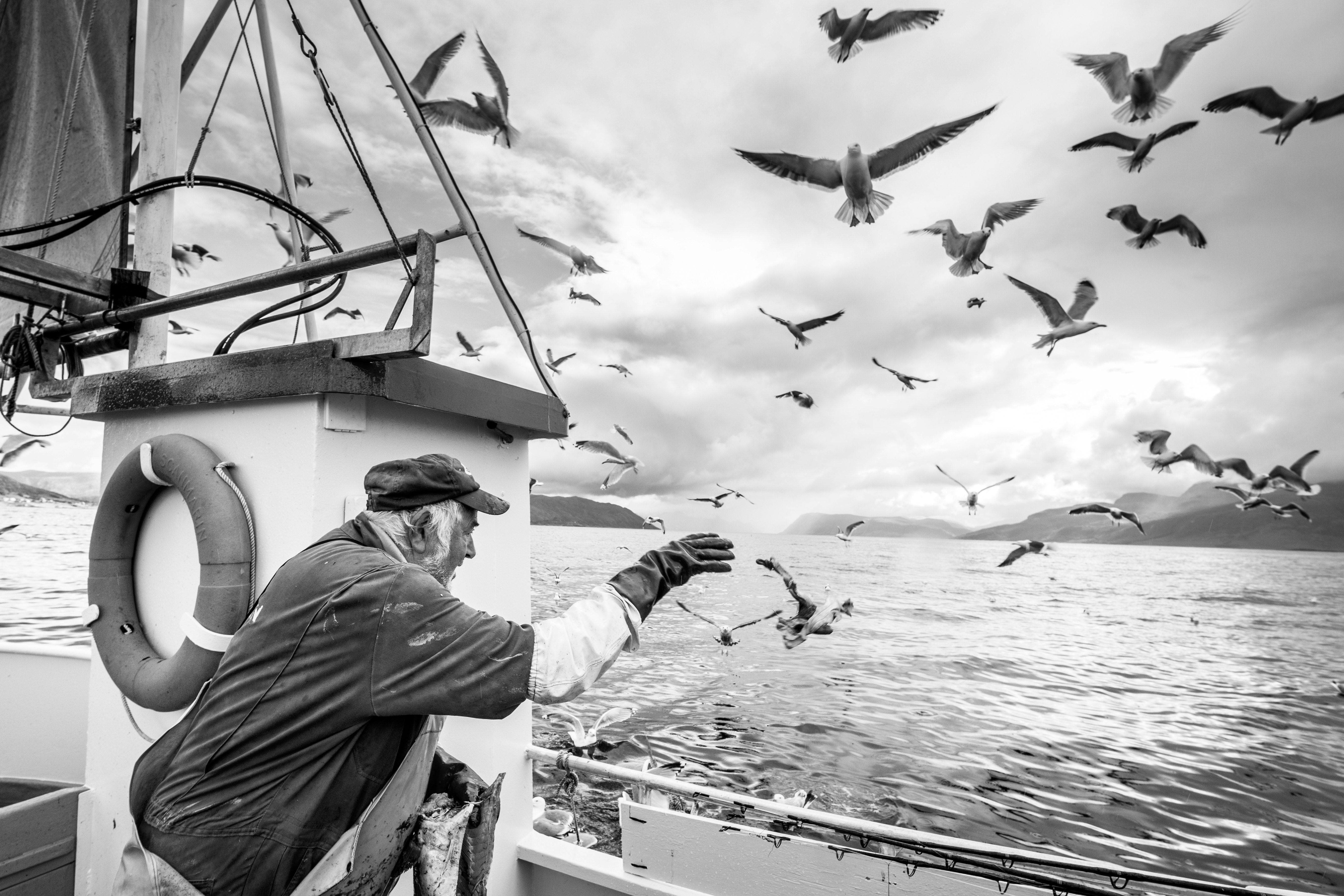 Elderly fisherman on a boat surrounded by seagulls over serene waters in black and white.