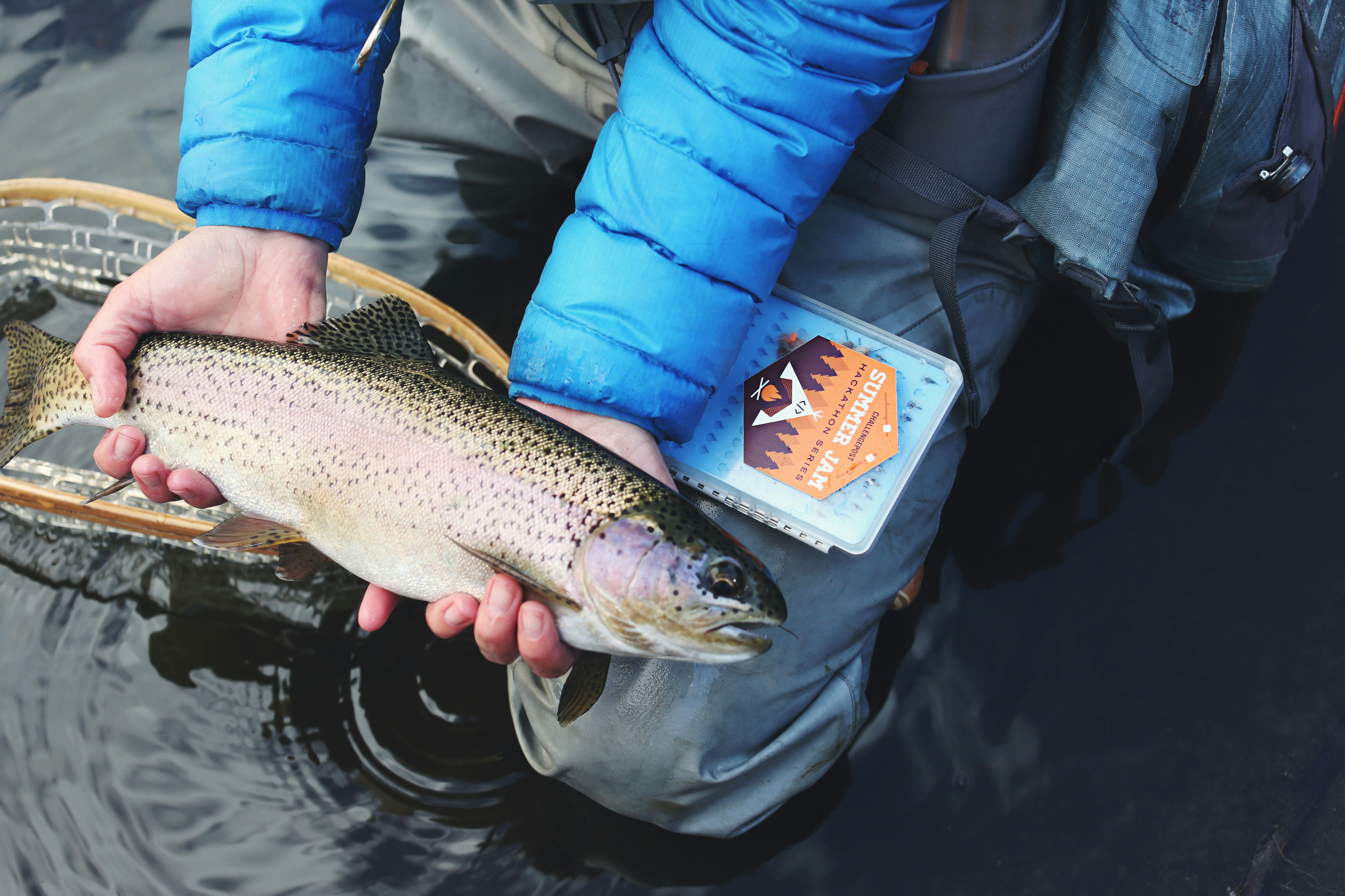 Fisherman holds vibrant rainbow trout, showcasing skill and fishing gear in tranquil waters.