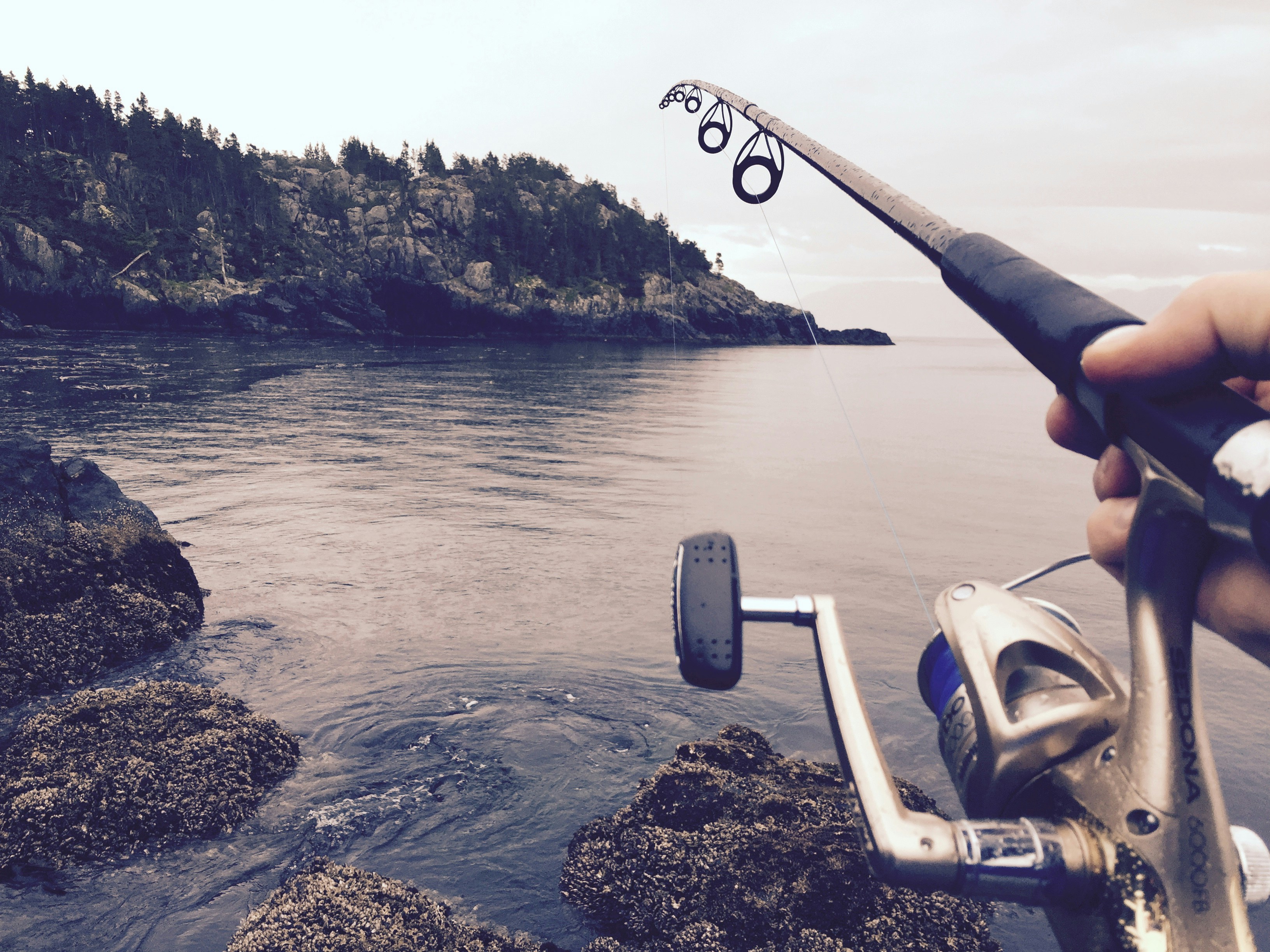 Fishing rod at a rocky coastline, showcasing serene waters and rugged natural beauty.