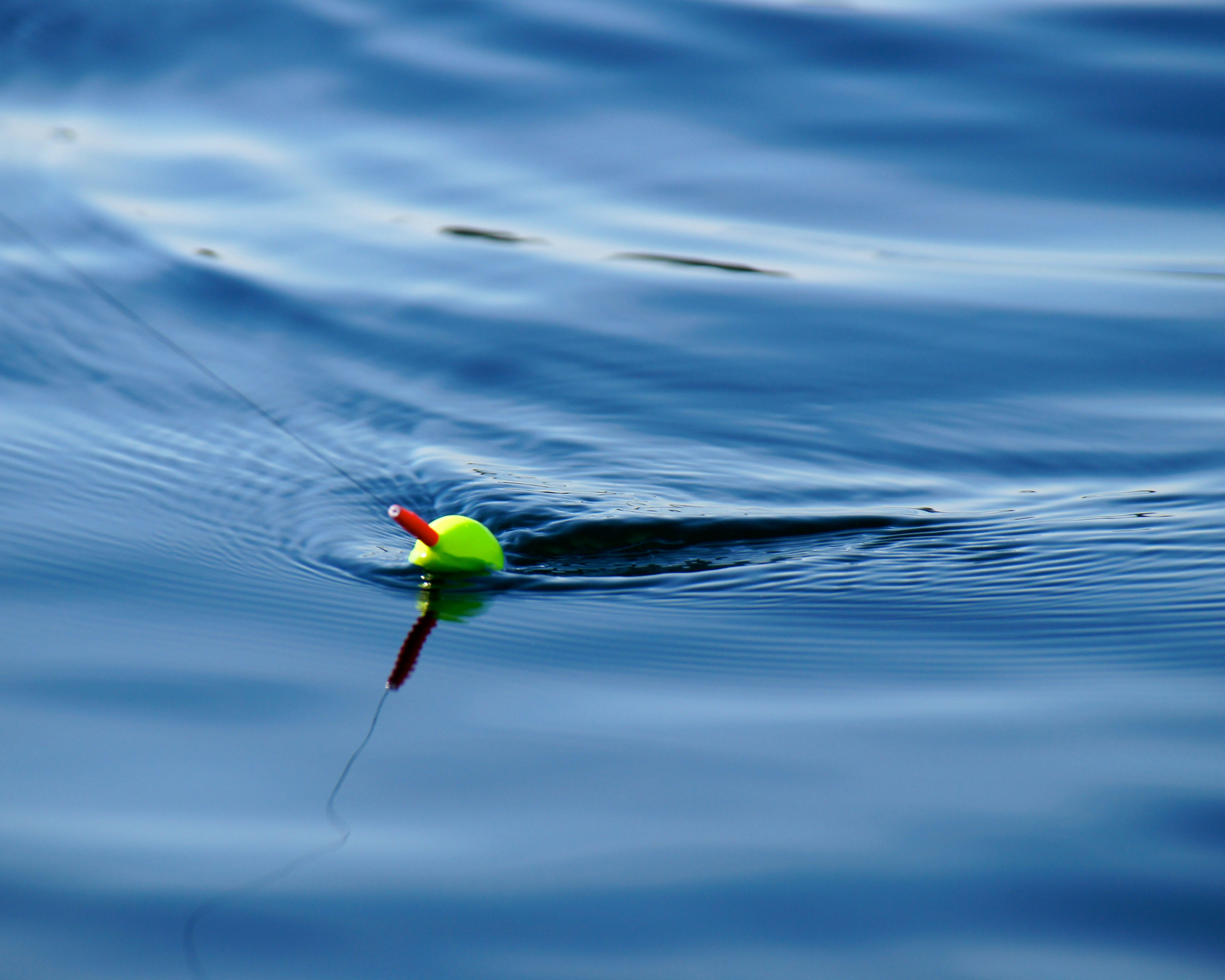 Vibrant fishing bobber on calm water, perfect for anglers seeking a serene fishing experience.