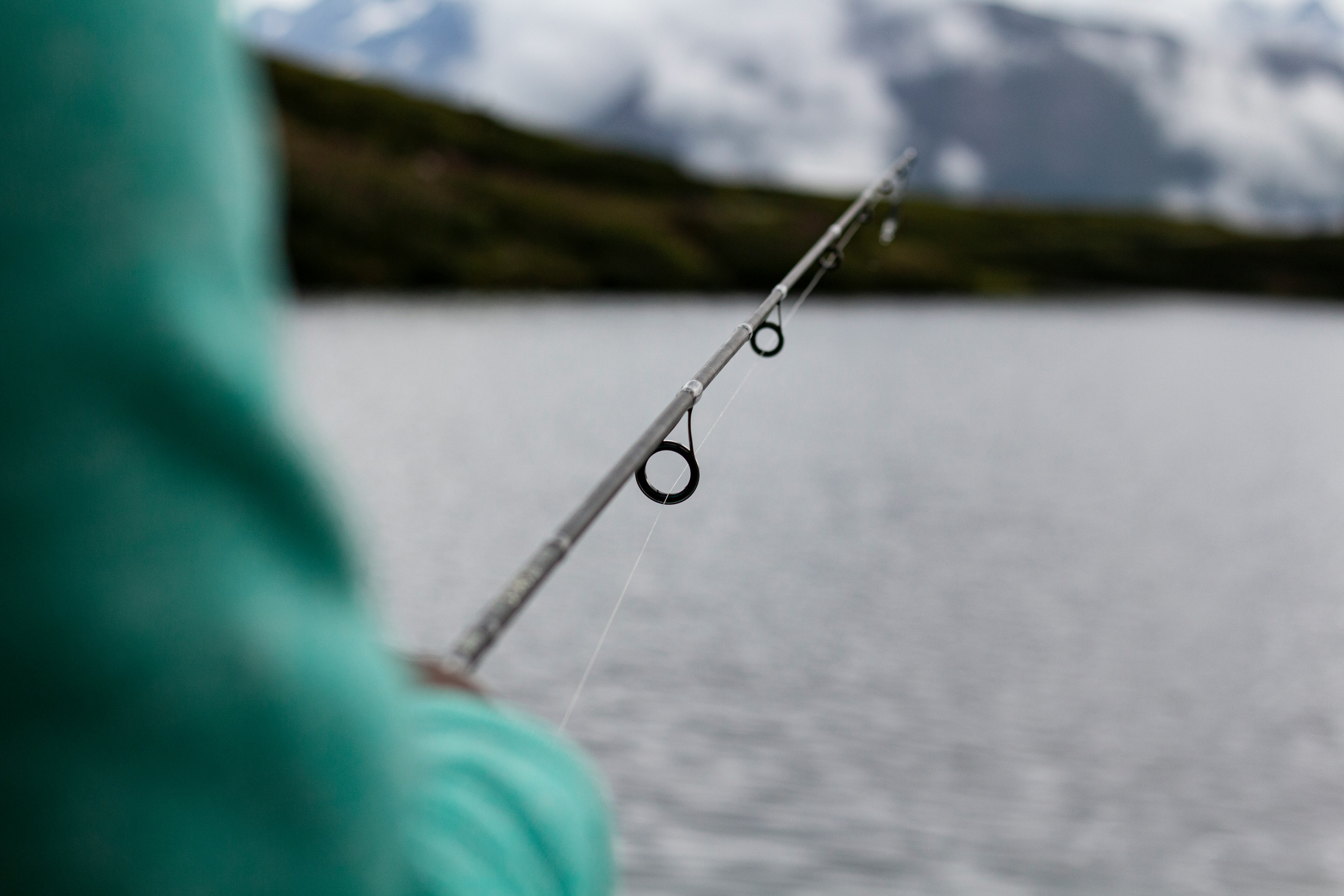 Angler fishing by a serene lake with high-quality fishing rod and lush greenery.