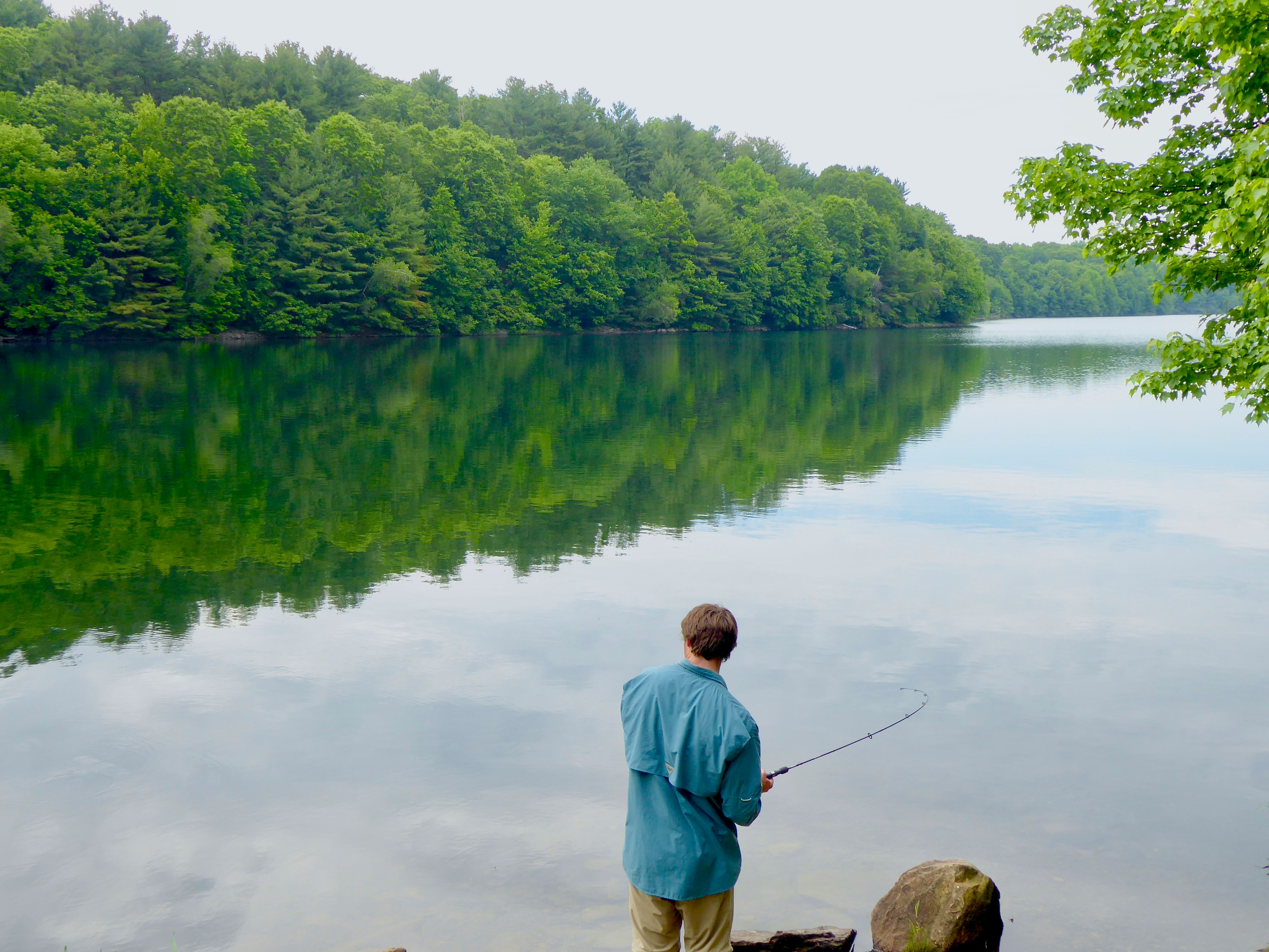 Peaceful fishing by a serene lake surrounded by lush greenery and soft morning light.