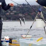 Anglers catch fish while enjoying a day of fishing on a serene dock.