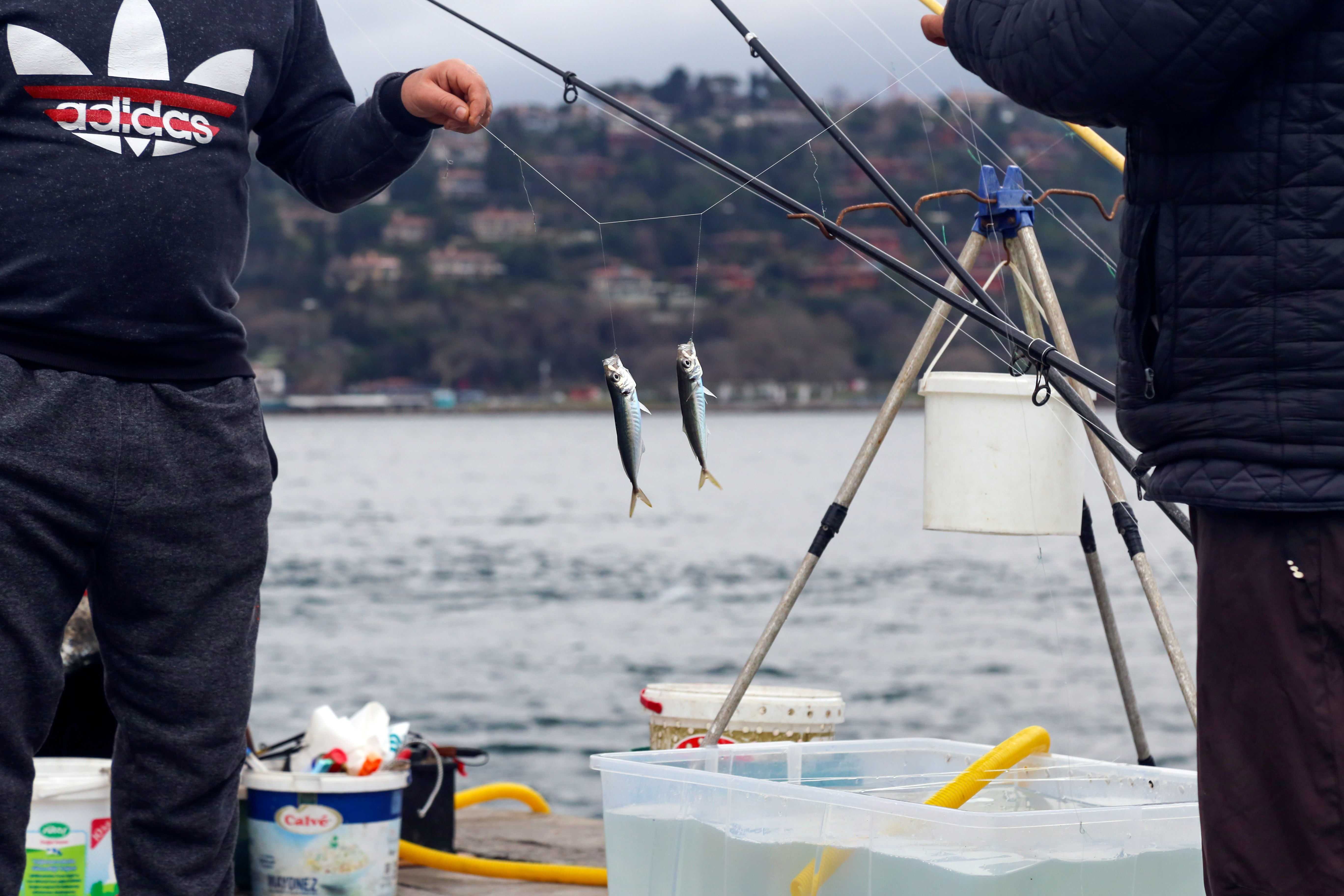 Anglers catch fish while enjoying a day of fishing on a serene dock.