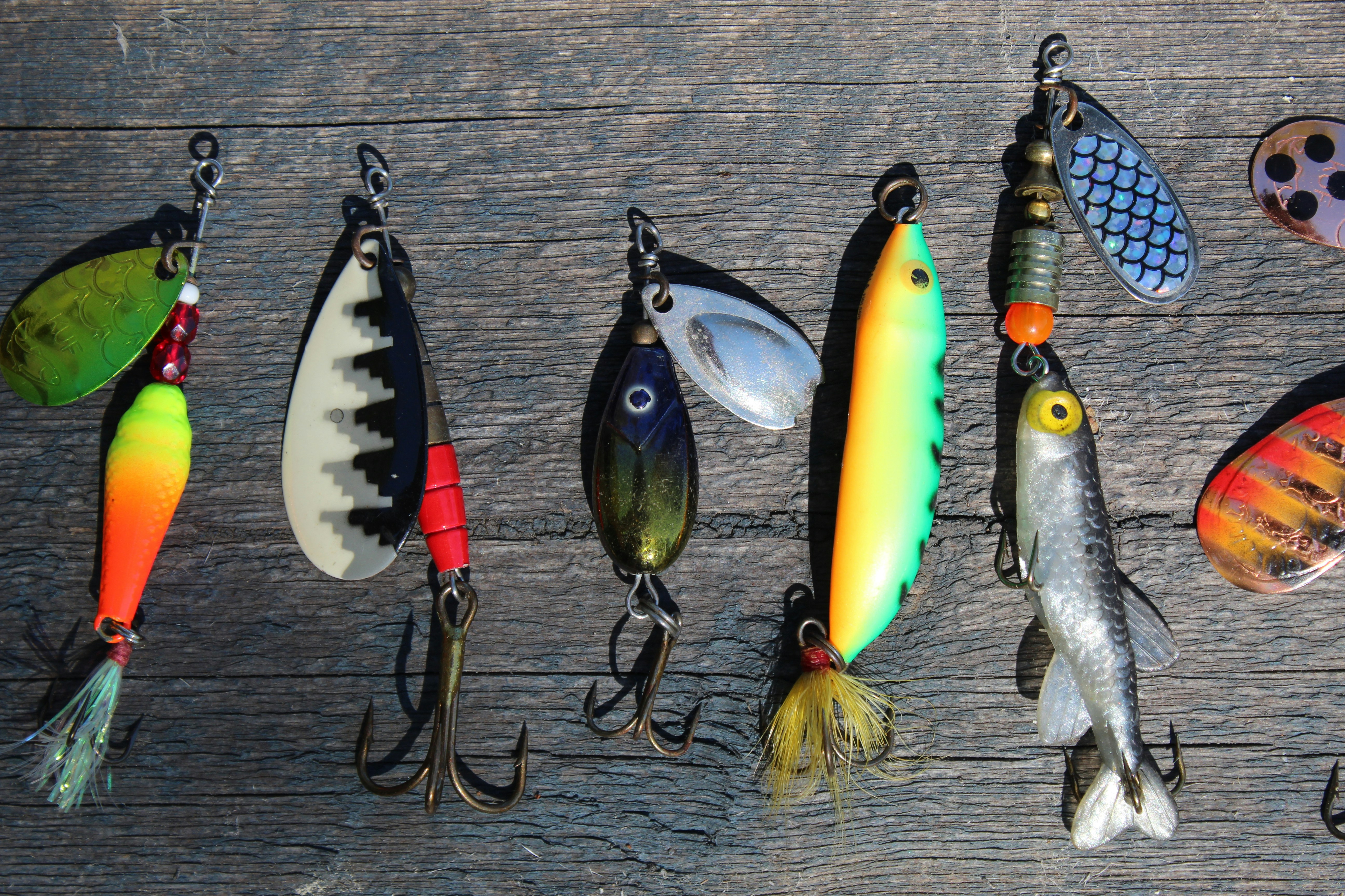 Colorful fishing lures creatively displayed on rustic wood, showcasing essential gear for anglers.