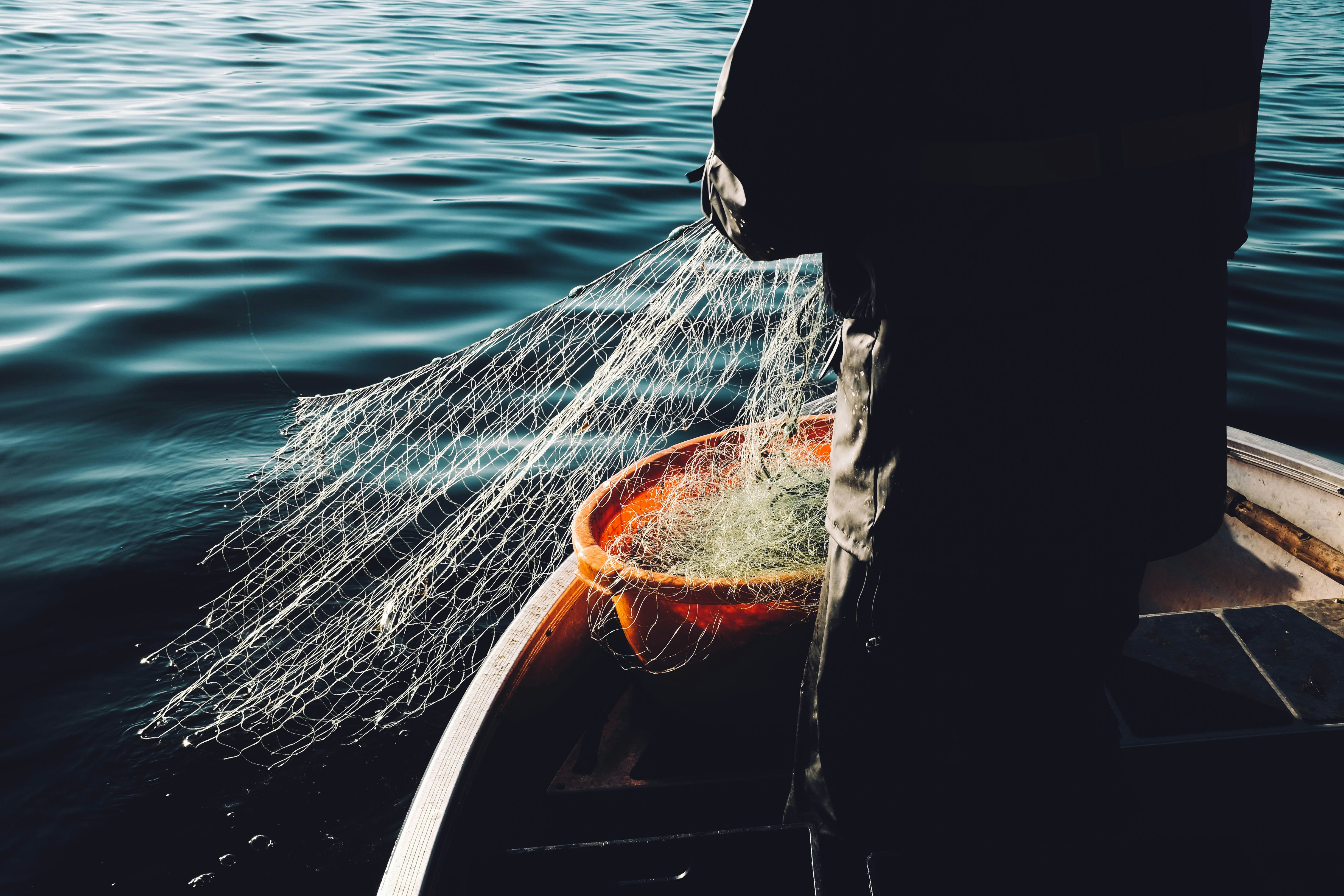 Fisherman casting a net on calm water in a serene marine setting.