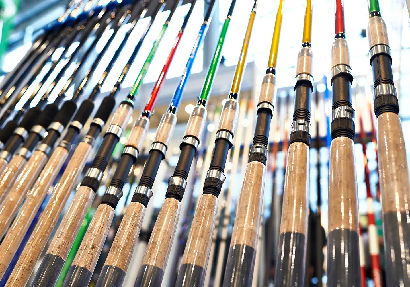 Vibrant fishing rods display highlighting quality gear for anglers at our online fishing store.