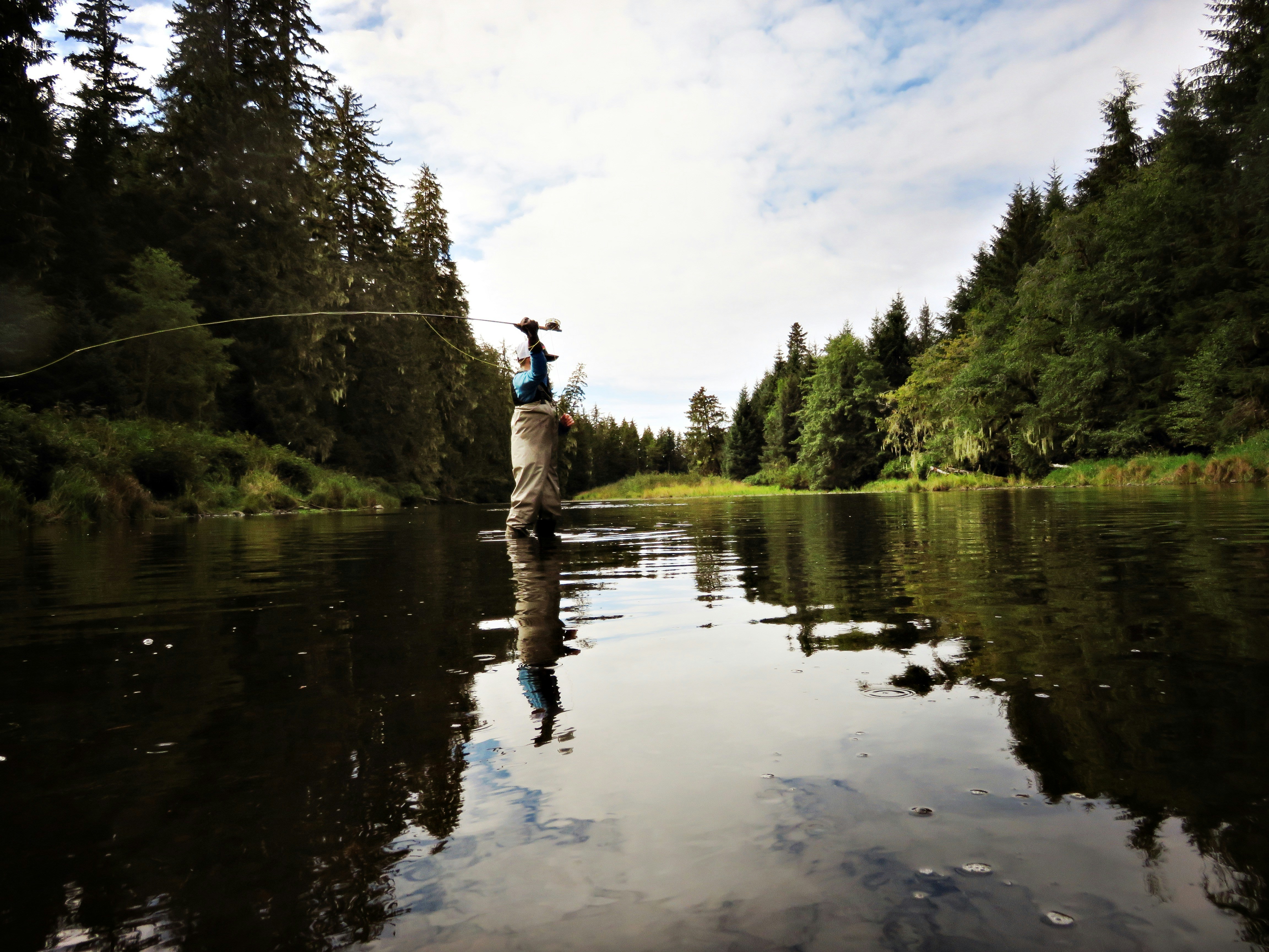 Fisherman casting line in serene river, surrounded by lush trees and tranquil nature.