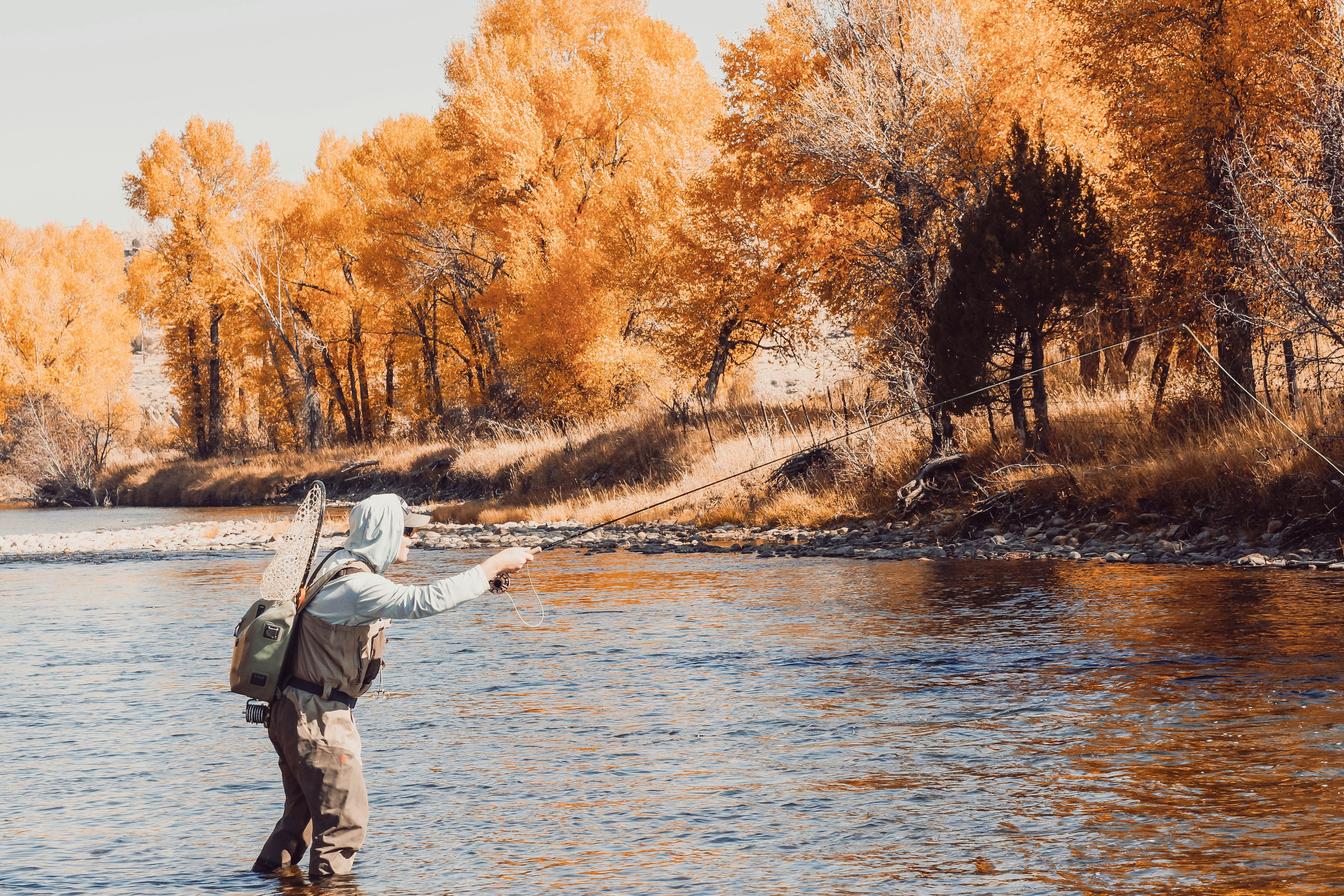 Fisherman casting a line in a serene autumn river surrounded by vibrant foliage.