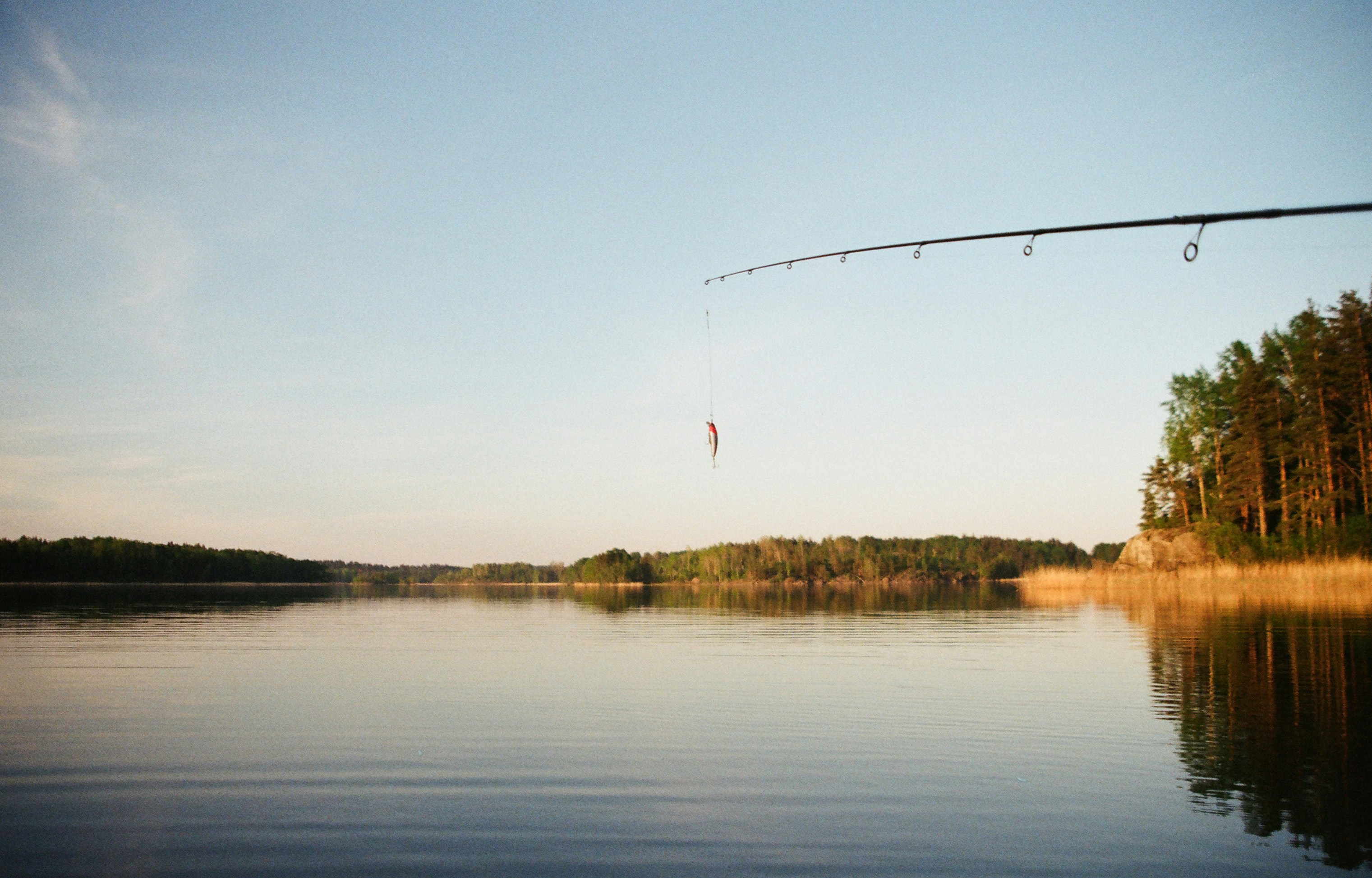 Tranquil lakeside fishing scene with a calm lake, fishing rod, and lush greenery at dawn.