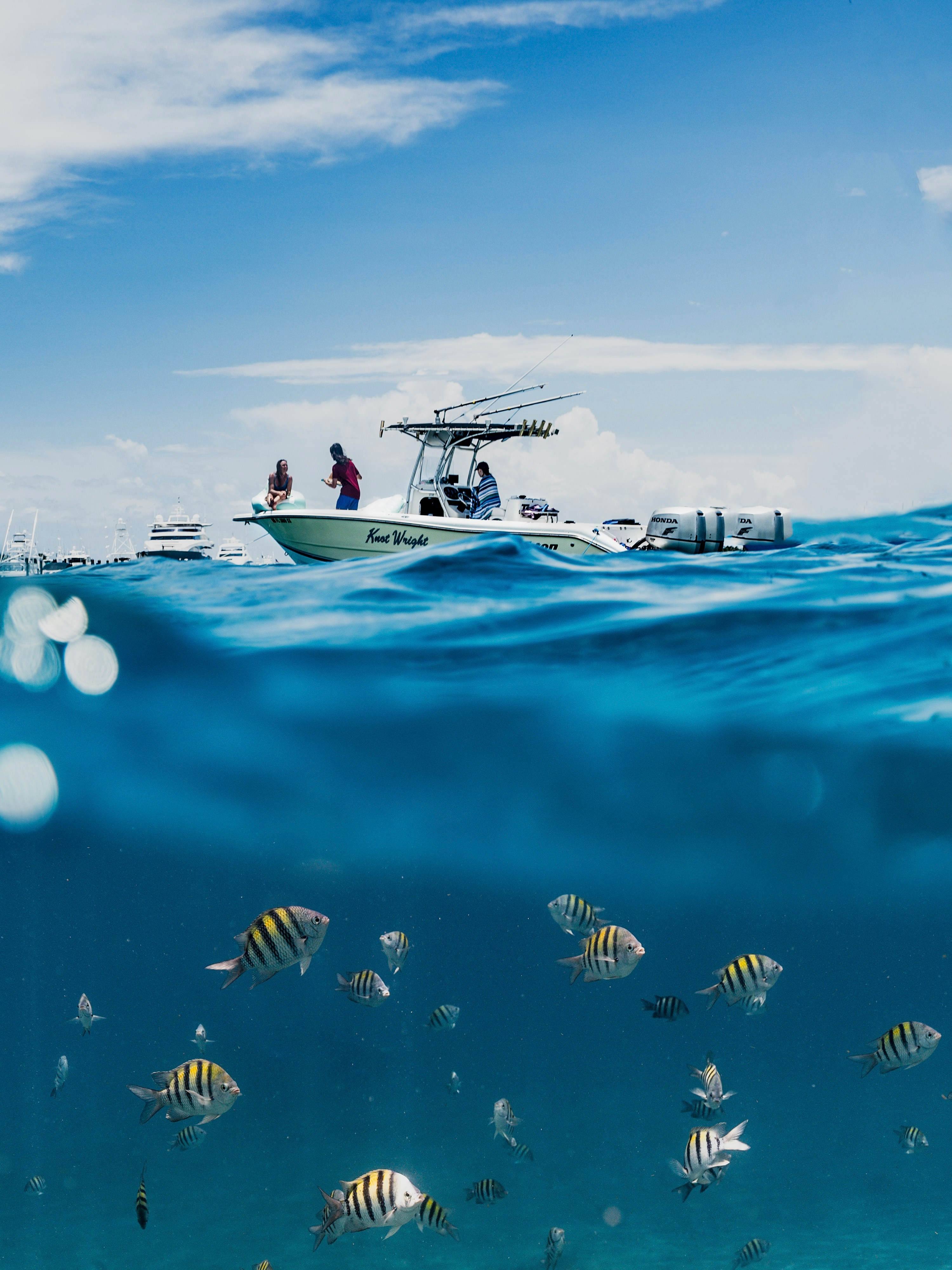 Fishing boat Knee Wight above vibrant underwater marine life in crystal-clear waters.